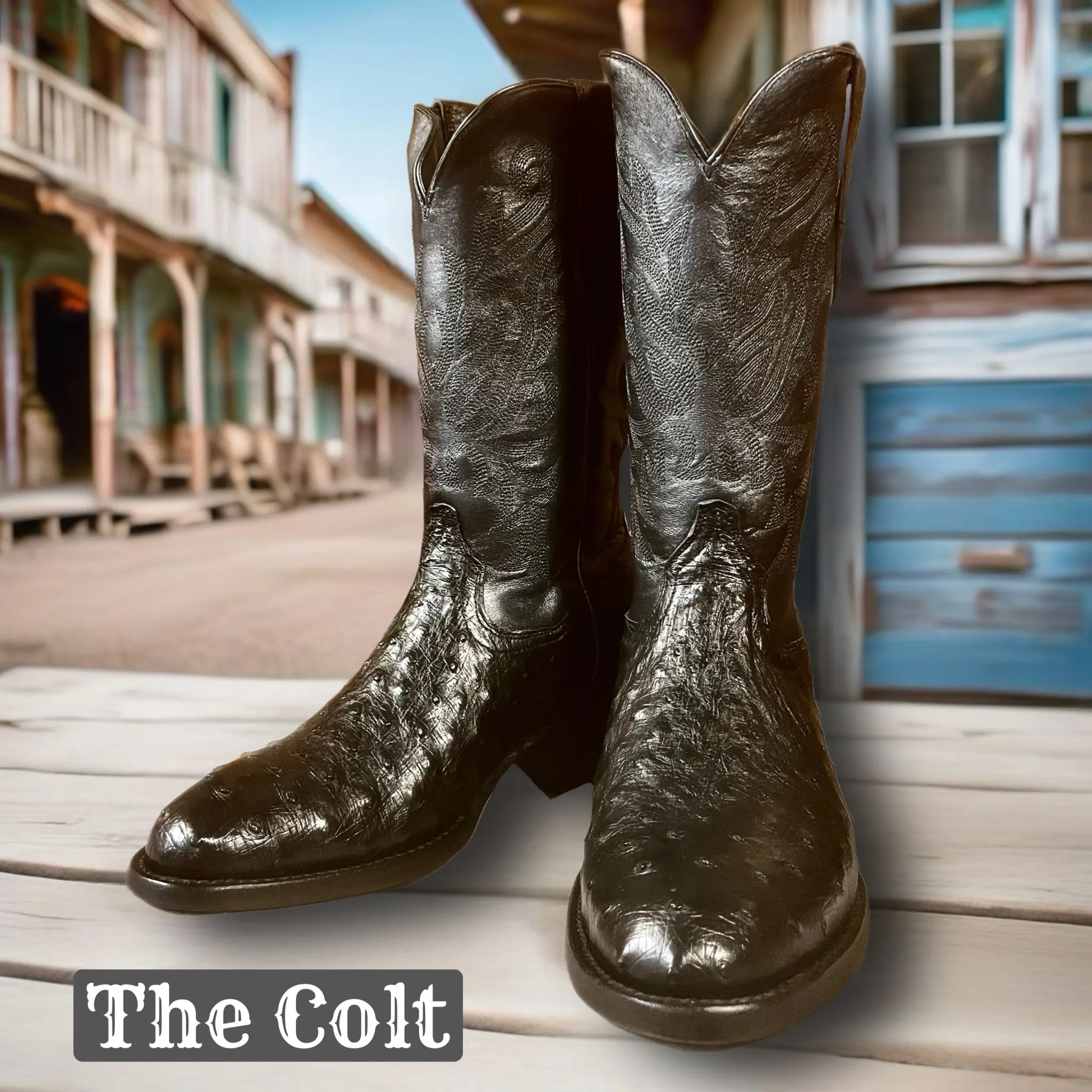 Colt