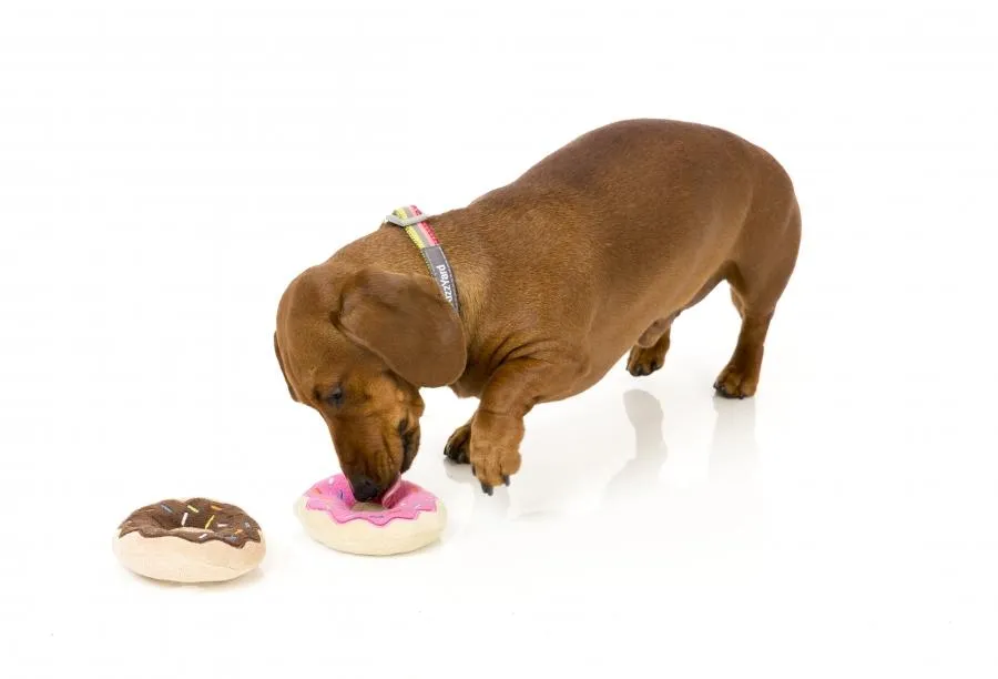 Donuts Dog Toy