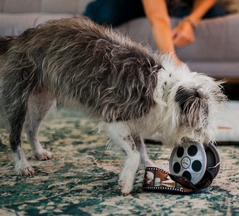 Hollywoof Movie Reel Dog Toy