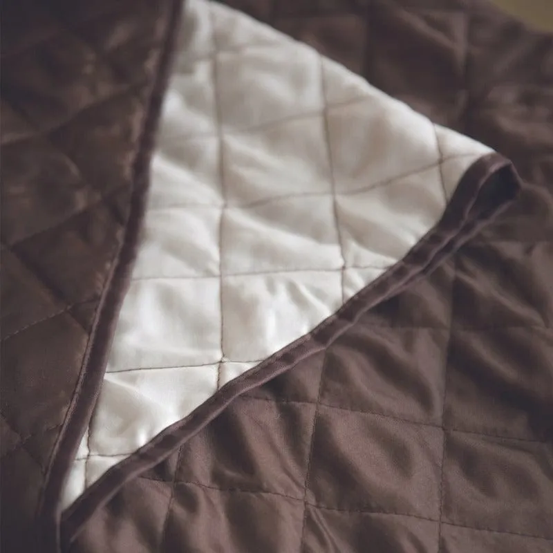 Homemax 2 Seater Couch Cover Guard - Reversible HCG001