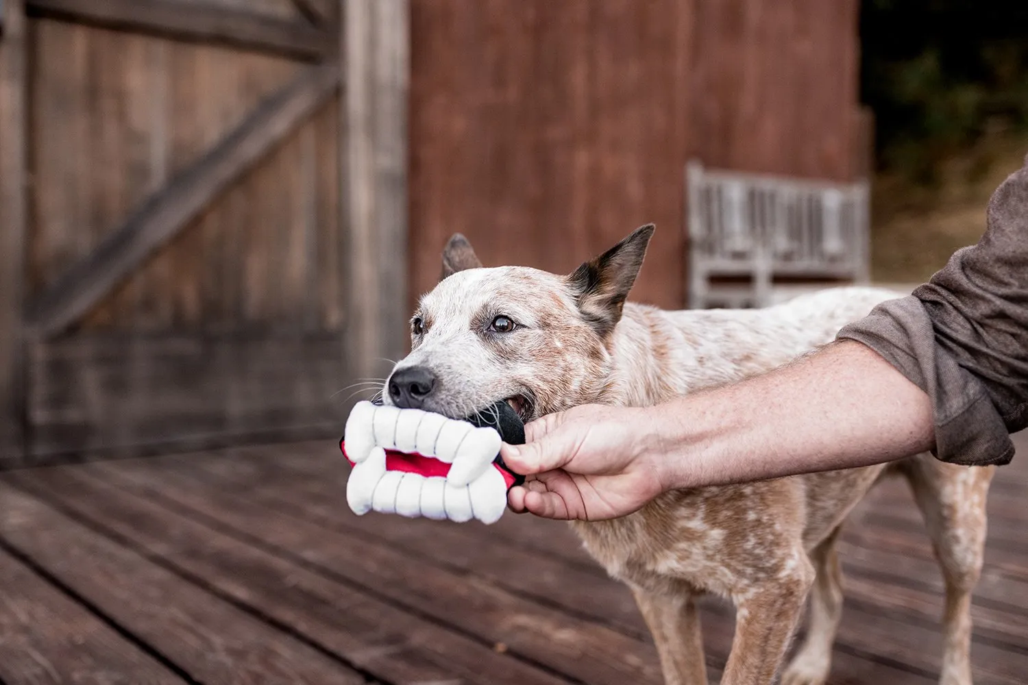 Howling Haunts Barky's Bite