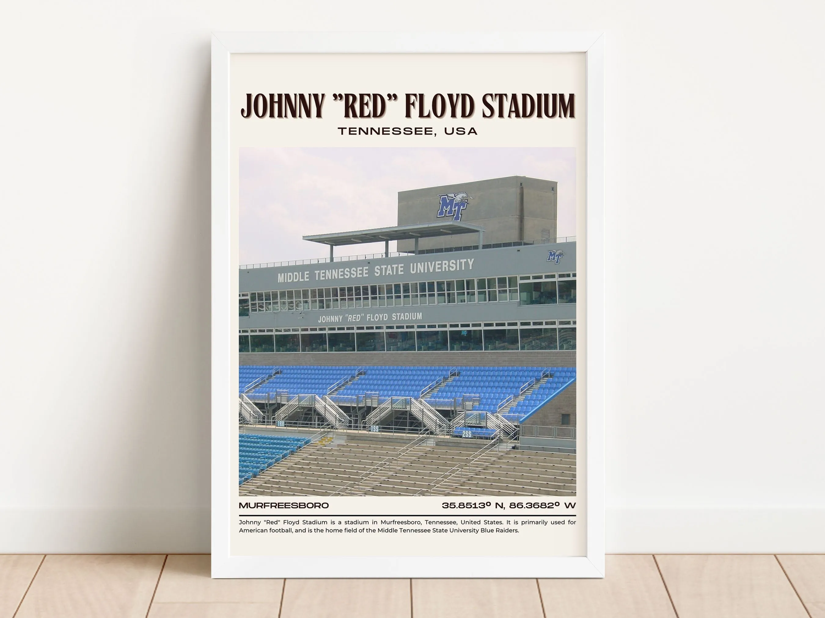 Johnny "Red" Floyd Stadium Football Retro Wall Art