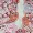 Multi Pink Tone Print Bardot Top