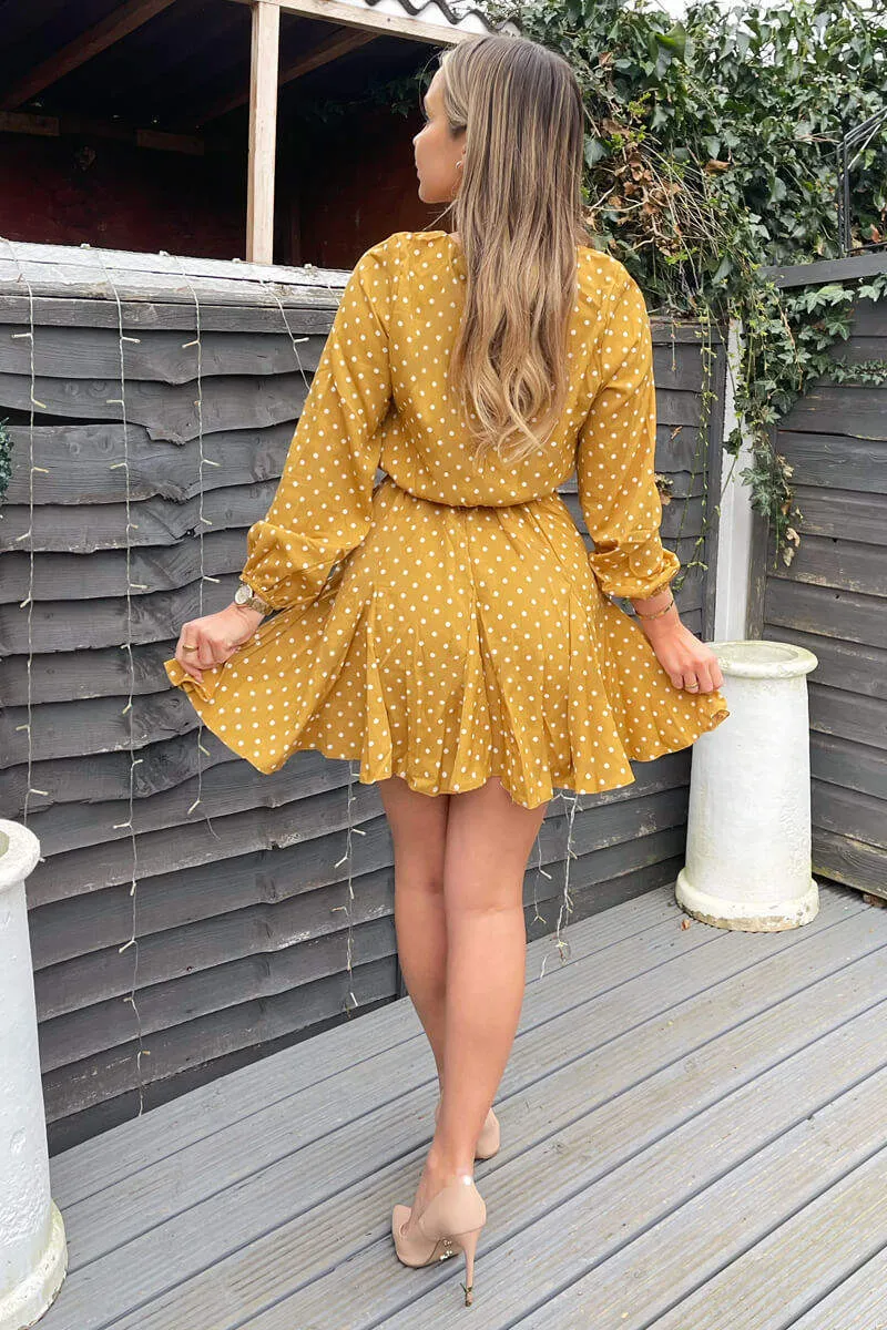 Mustard Polka Dot Long Sleeve Skater Dress