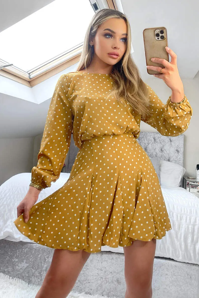 Mustard Polka Dot Long Sleeve Skater Dress