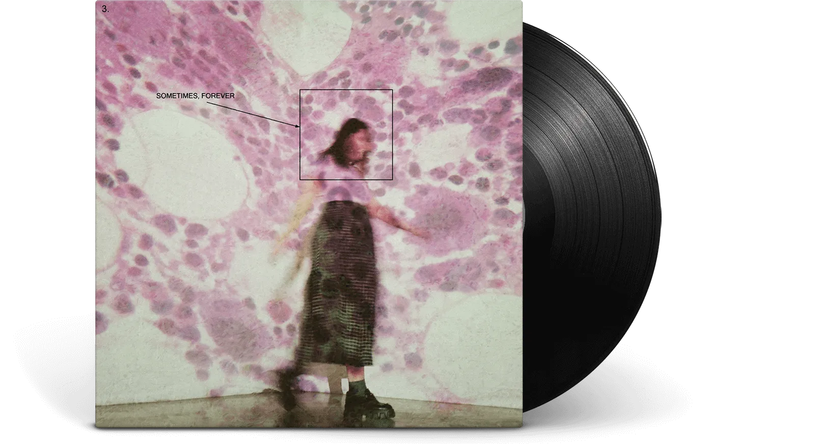 Soccer Mommy : Sometimes, Forever