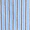 Stripe Shirtdress